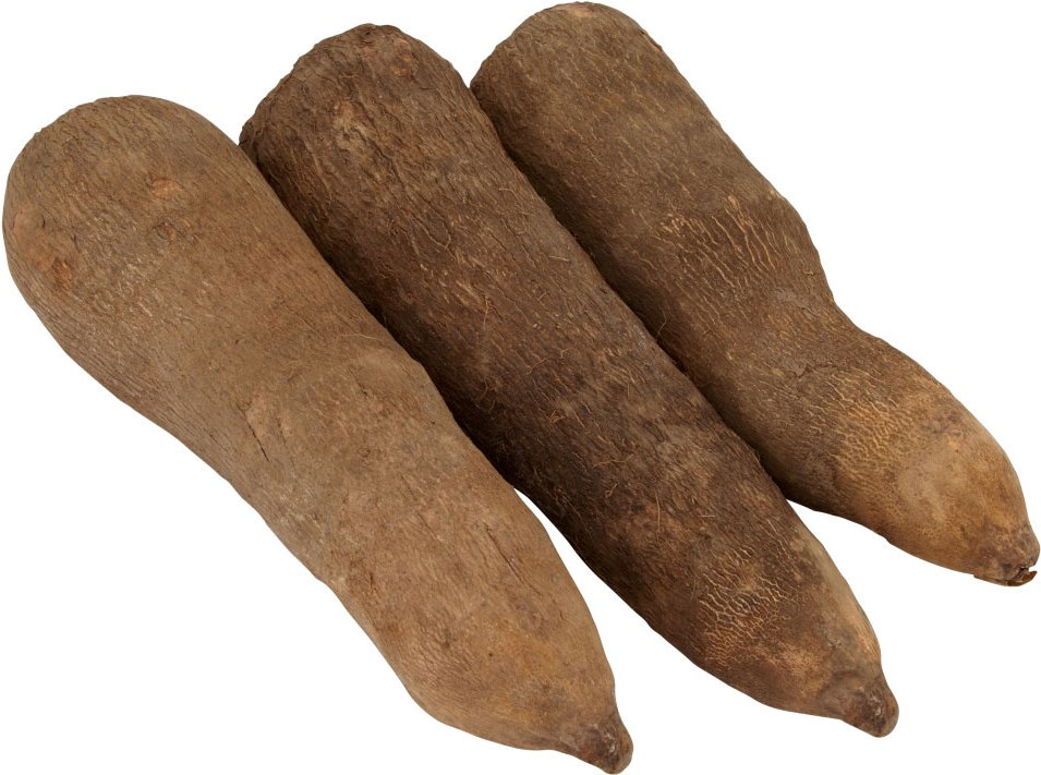 Ghana employs Traditional Methods To address post-harvest yam losses. | NEWS FROM Prince Appiah